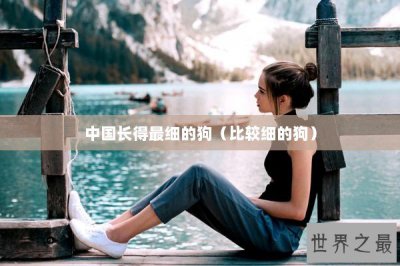 ​中国长得最细的狗（比较细的狗）