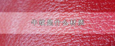 ​牛纹样图案 牛纹羊皮是什么材质