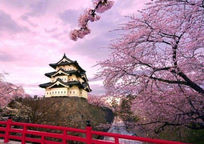 ​普通人怎么去日本工作 知乎女生 普通人如何去日本工作