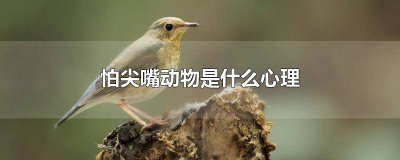 ​害怕尖嘴动物人的心理描写 害怕尖嘴动物人的心理原因