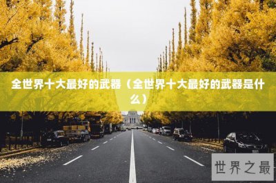 ​全世界十大最好的武器（全世界十大最好的武器是什么）
