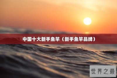 ​中国十大新手鱼竿（新手鱼竿品牌）