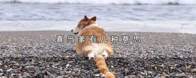 ​喜当爹怎么形容 形容喜当爹的成语