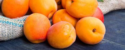 ​杏果和什么不能一起吃 苹果和杏能一起吃吗