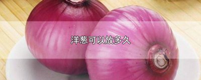 ​一半洋葱可以放多久 洋葱可以放多久?