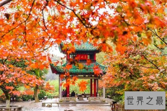 长沙旅游必去景点十大排行榜,长沙最靓的景全在这里!