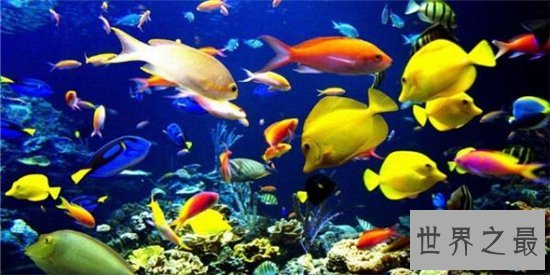 长沙旅游必去景点十大排行榜,长沙最靓的景全在这里!