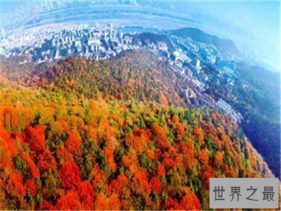 长沙旅游必去景点十大排行榜,长沙最靓的景全在这里!