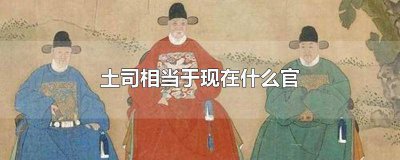 ​土司相当于现在什么官职 土司相当于现在什么官