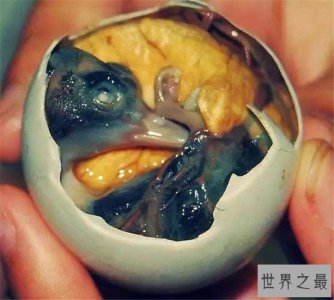 ​十大最恐怖零食，你敢吃发酵过的鲨鱼肉吗？