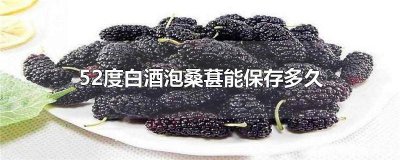 ​桑葚酒用多少度的白酒泡比较好 桑葚泡酒用多少度的白酒泡好