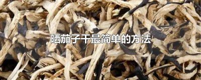 ​晒茄子怎么晒干最佳 晒的茄子干怎么做好吃法