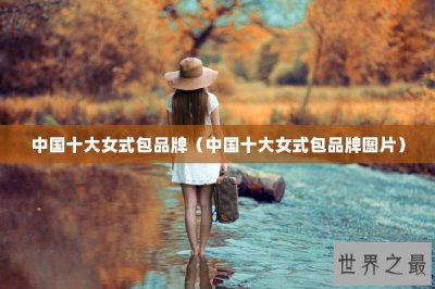 ​中国十大女式包品牌（中国十大女式包品牌图片）