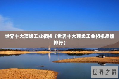 ​世界十大顶级工业相机（世界十大顶级工业相机品牌排行）