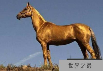 ​汗血马真的会流血吗，揭秘汗血宝马“流血”的真相