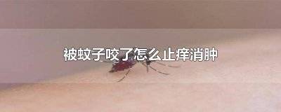 ​被蚊子咬了怎么止痒消肿 红霉素 被蚊子咬了怎么止痒消肿 艾草