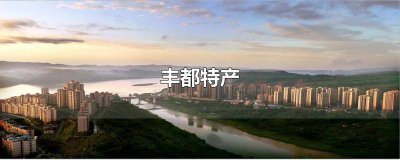 ​丰都的美食和特产有哪些? 丰都最早出名的麻辣鸡是哪家