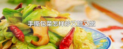​手撕包菜怎样炒又脆又嫩好吃视频 手撕包菜怎样炒又脆又嫩好吃窍门