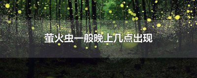 ​萤火虫晚上是什么样的 萤火虫会在什么时候什么地方怎样出现