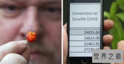 ​世界上最辣的辣椒：龙息辣椒 舔一口会休克