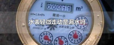 ​水管轻微渗水水表会走吗 水表前漏水水表会走吗