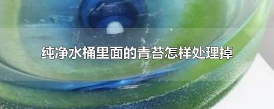 ​水桶里的青苔怎么清理干净 净水桶长青苔怎么清洗