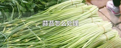 ​蒜苔怎么弄干净 蒜苔怎么收拾