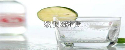 ​苏打水解酒吗? 苏打水解酒吗有效果吗