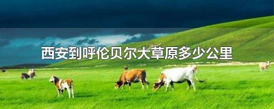 ​西安到呼伦贝尔大草原的最佳路线 西安到呼伦贝尔草原怎么走