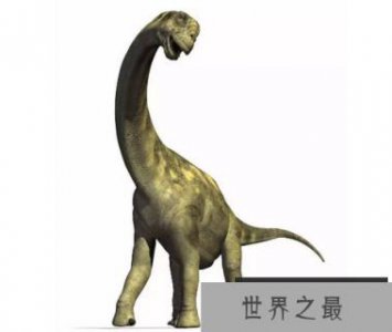 ​世界上最大的恐龙 高度达35米