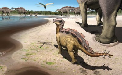 ​中国发现的“猫咪大小”的剑龙幼崽足迹化石让科学家大吃一惊