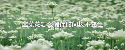 ​怎样储存韭菜花不易变黄 韭菜花怎么保存不发黄