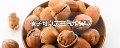 ​榛子可以放空气炸锅吗怎么做好吃 榛子可以放空气炸锅吗怎么做的
