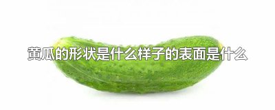 ​黄瓜的形状是什么样 黄瓜是什么形