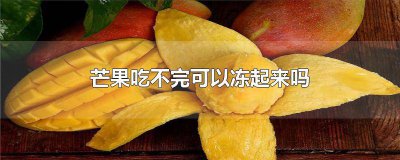 ​鲜芒果冻了还能吃吗 芒果冰冻后还能吃吗