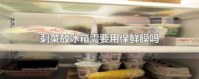 ​剩菜加保鲜膜可以在冰箱里放多久 放冰箱的剩菜需要保鲜膜吗