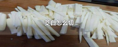 ​茭白是切片还是切丝好 茭白的切丝