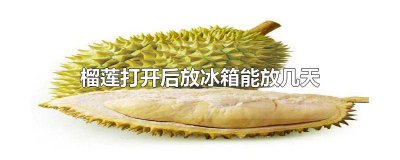 ​榴莲打开可以放冰箱几天 榴莲打开冰箱可以放几天