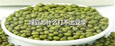 ​绿豆为什么打不出豆浆来 绿豆为什么打不出豆浆