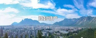 ​登封特产有哪些小吃 登封土特产有哪些