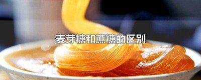 ​低聚麦芽糖和蔗糖的区别 麦芽糖和蔗糖的区别