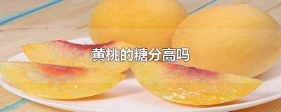 ​黄桃糖分高不高 黄桃含糖分高吗