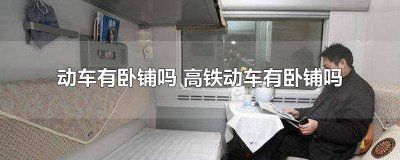 ​动车什么情况才有卧铺 动车上有卧铺么