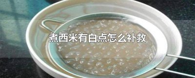 ​西米煮出来中间有白点该怎么办? 西米怎么煮都有白点点怎么回事