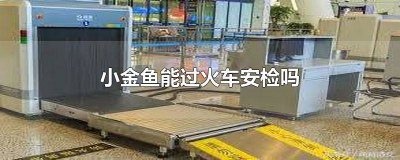​小金鱼能过火车安检吗 小金鱼能过火车安检吗视频