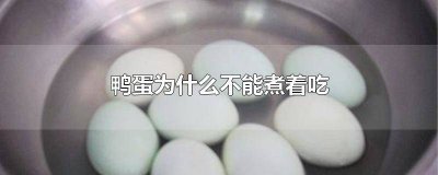 ​鸭蛋可以直接煮着吃吗 鸭蛋直接煮着吃有什么影响