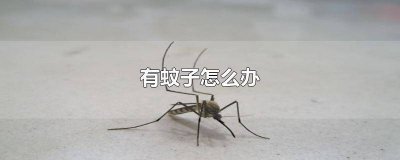 ​冬天卧室里有蚊子怎么办 家里一直有蚊子怎么办