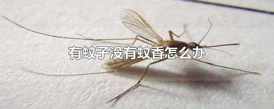 ​没有蚊香的情况下怎么办 有蚊子但没有蚊香怎么办