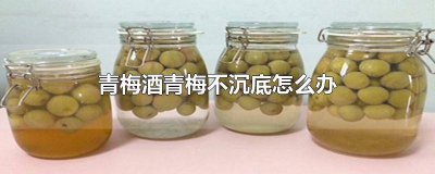​青梅酒糖都沉底不化 为什么青梅酒梅子不下沉