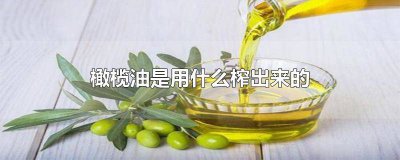 ​橄榄油什么榨的 橄榄油是什么榨的